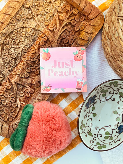 Peach Stationery Gift Set – Just Peachy Deluxe Planner & Sticker Bundle