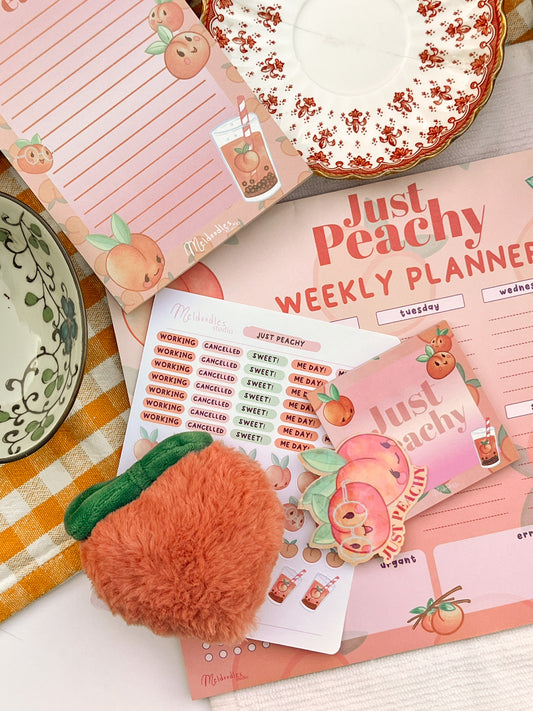Peach Stationery Gift Set – Just Peachy Deluxe Planner & Sticker Bundle